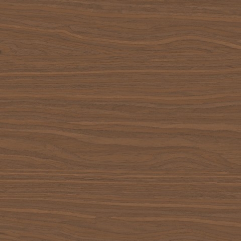 Дуб шоколадный